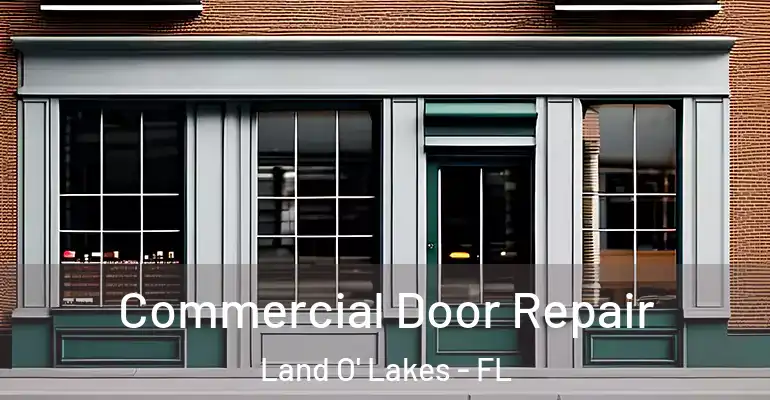  Commercial Door Repair Land O' Lakes - FL