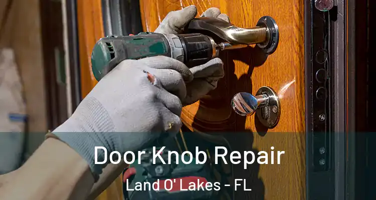  Door Knob Repair Land O' Lakes - FL
