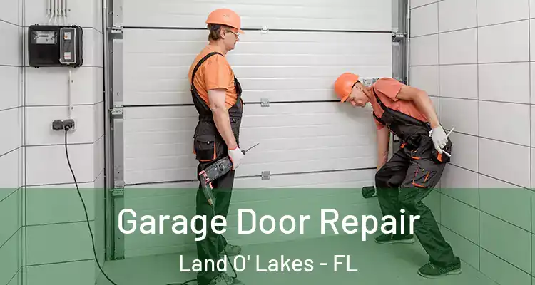  Garage Door Repair Land O' Lakes - FL
