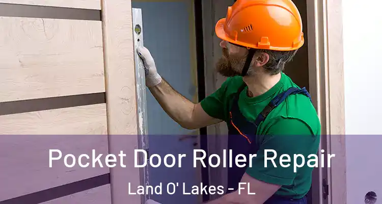 Pocket Door Roller Repair Land O' Lakes - FL