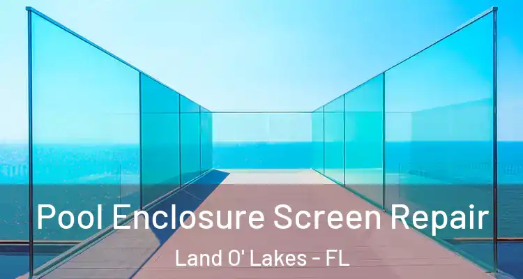  Pool Enclosure Screen Repair Land O' Lakes - FL