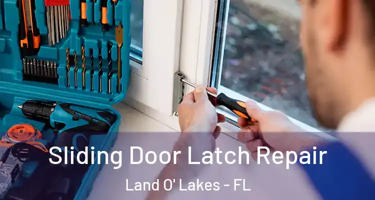  Sliding Door Latch Repair Land O' Lakes - FL