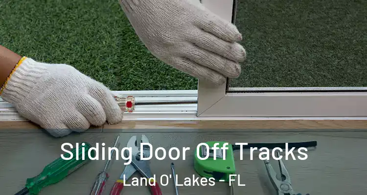  Sliding Door Off Tracks Land O' Lakes - FL