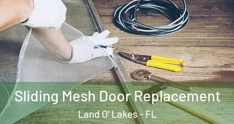  Sliding Mesh Door Replacement Land O' Lakes - FL